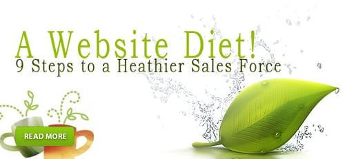 Give Your Website A Diet - 9 Steps to a Healthier Website